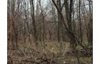 Property photo 2 - 62.7 Acres in 2 Tracts - Recreation and Potential Building Sites
